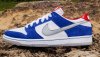 Nike SB Dunk Low Pro QS Ishod Wair 839685-416